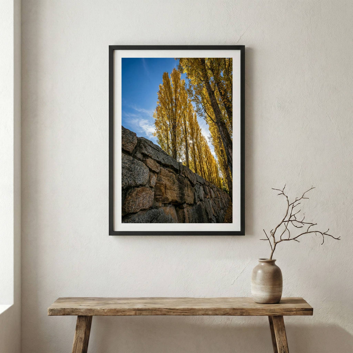 Tall golden poplar trees rising behind a rustic stone wall — wooden frame canvas wall art print, 12×18 in