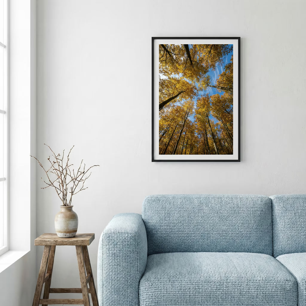 Snow-dusted pine trees on a ledge overlooking a misty turquoise lake — framed canvas wall art in a wooden frame, 16×24 in
