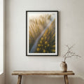 Milky Way star trail over a snow-covered road lined with dark trees — wooden frame canvas wall art print, 12×18 in