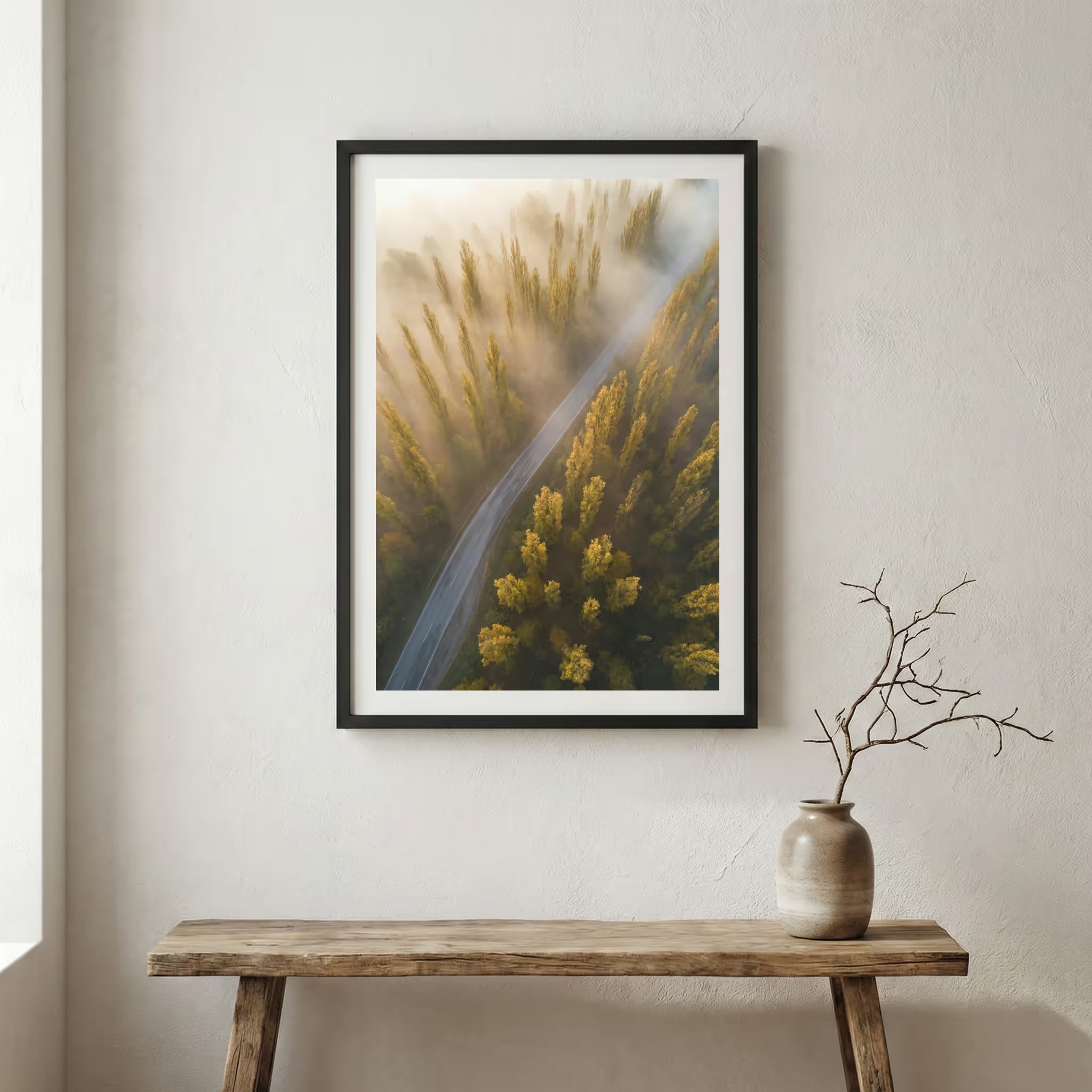 Milky Way star trail over a snow-covered road lined with dark trees — wooden frame canvas wall art print, 12×18 in