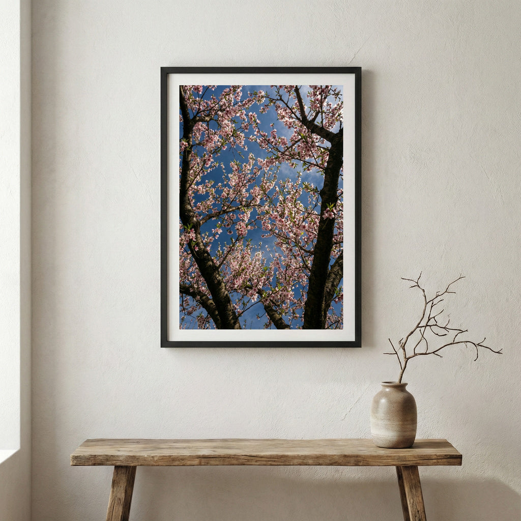 Natural landscape