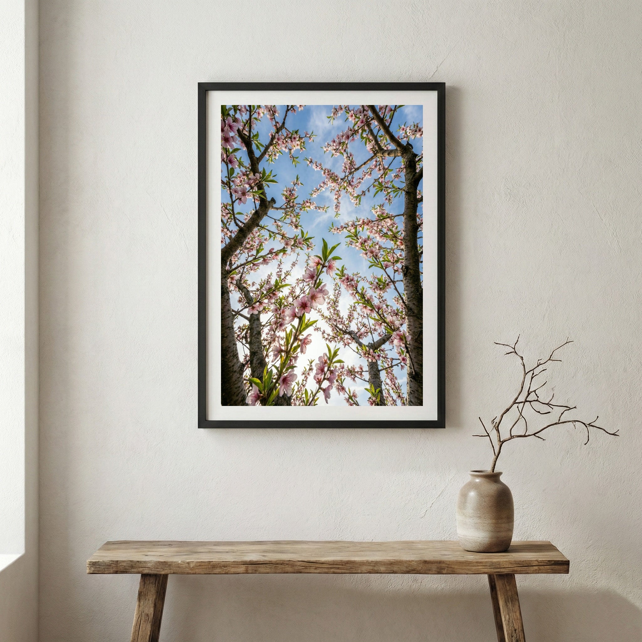 Natural landscape