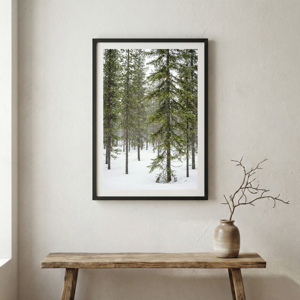 Natural landscape